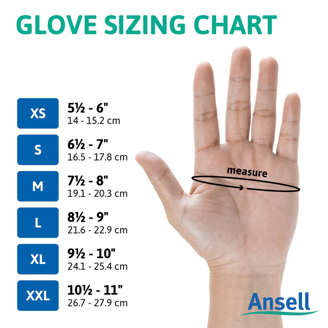 Leather Pro Gloves - 4 sizes - Image 3