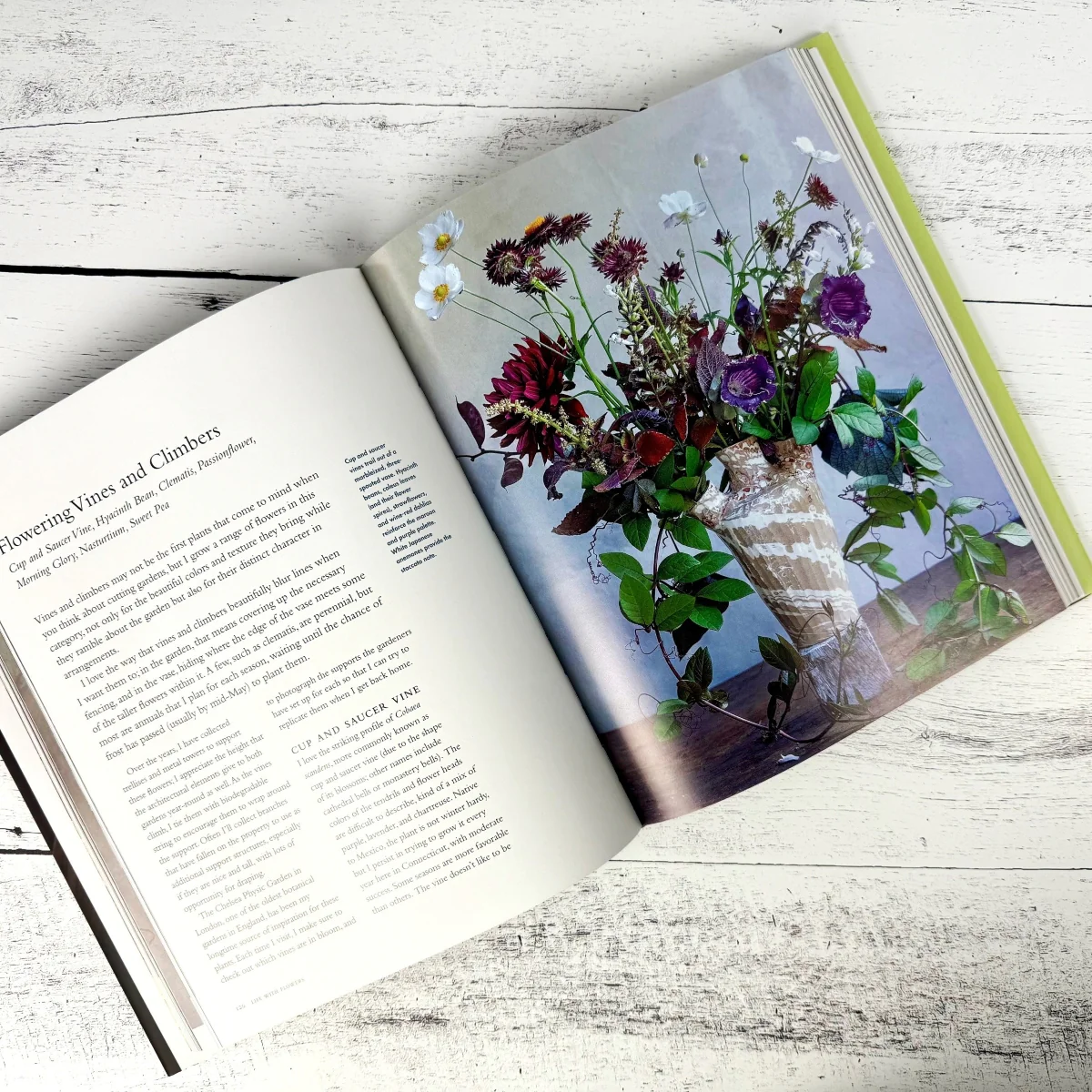 Life with Flowers - Image 2