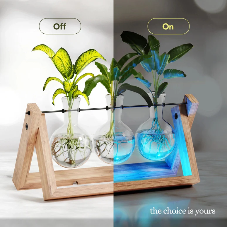 Light Up Bamboo Air Planter - Bulb Style - Image 3