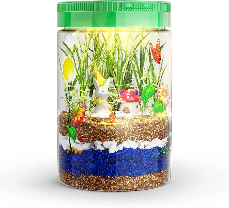 Light -Up Terrarium Kit - Image 2