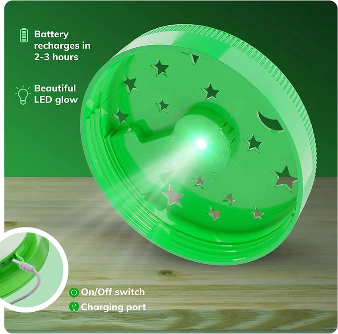 Light -Up Terrarium Kit - Image 3