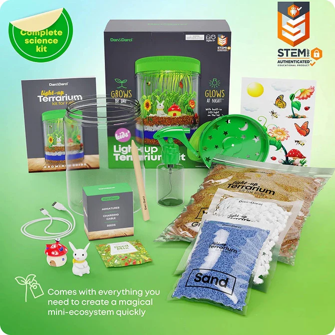 Light -Up Terrarium Kit - Image 4