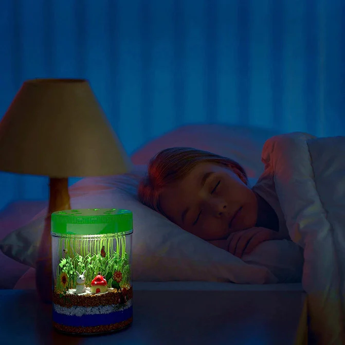 Light -Up Terrarium Kit - Image 5