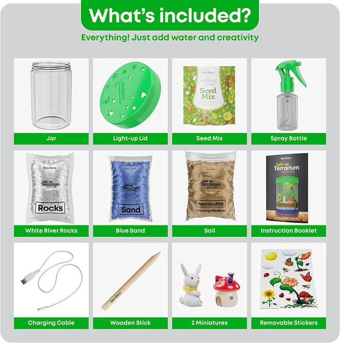 Light -Up Terrarium Kit - Image 7