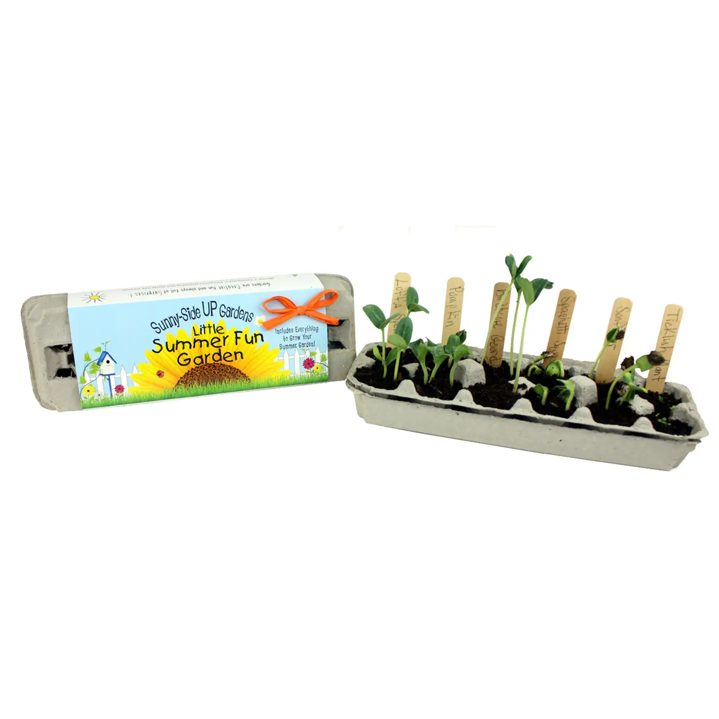 Little Summer Fun Garden Grow Kit - Image 3