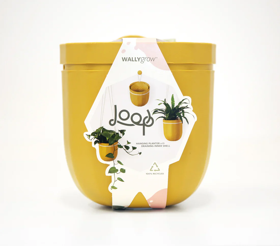 Loop Hanging Planter - 4 colors available - Image 15