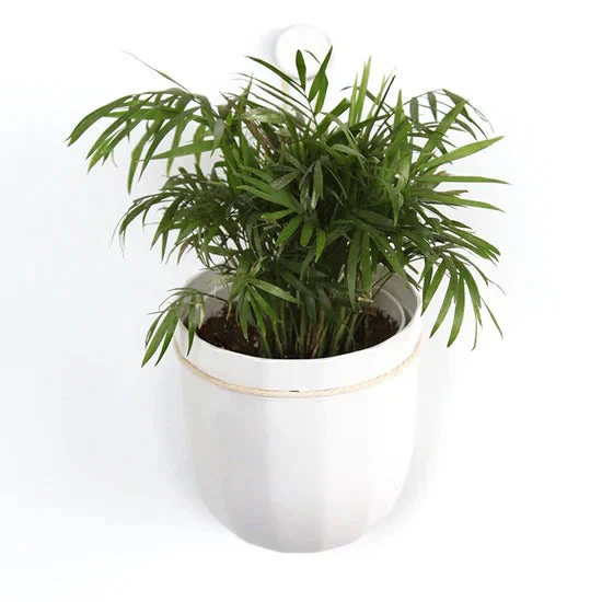 Loop Hanging Planter - 4 colors available - Image 3