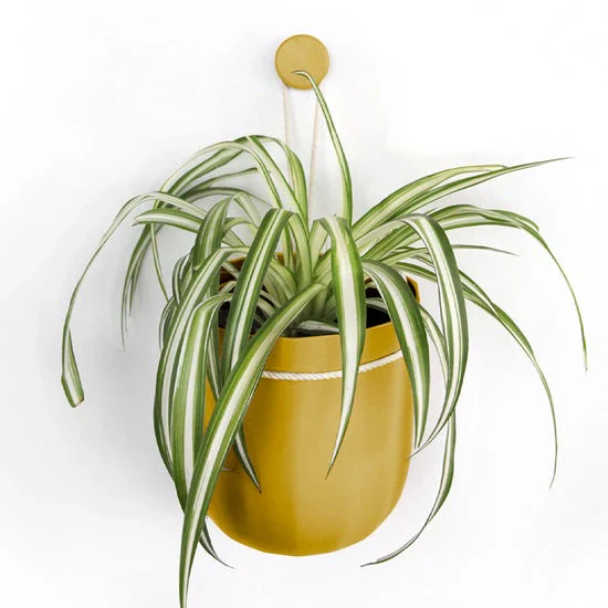 Loop Hanging Planter - 4 colors available - Image 4