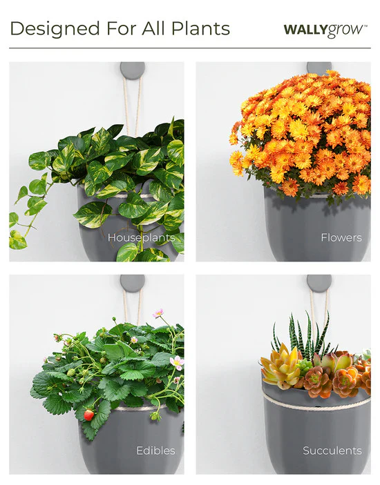 Loop Hanging Planter - 4 colors available - Image 6