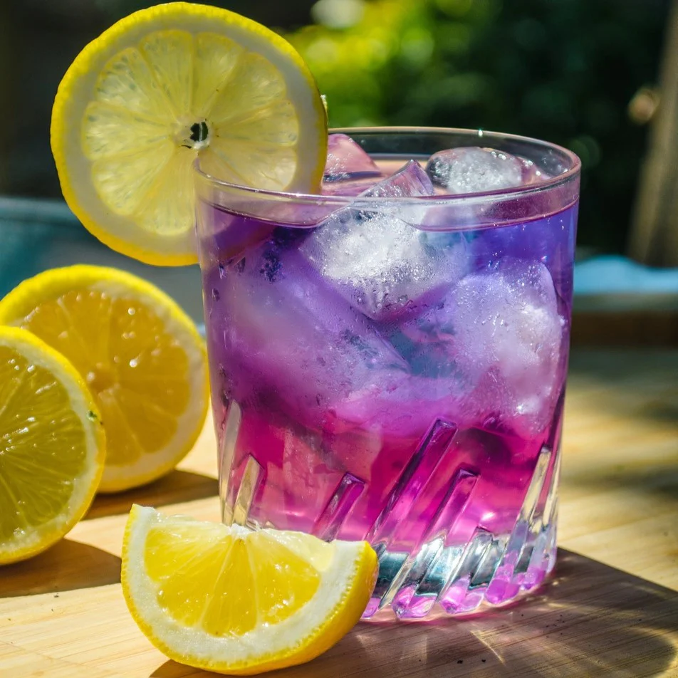 Mariposa Tea - Butterfly Pea Flowers & Lemongrass Tisane - Image 4