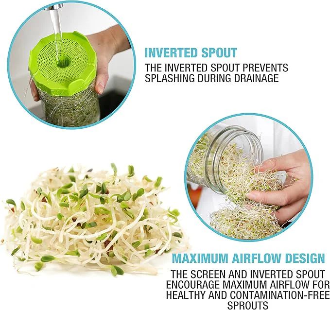 Mason Jar Sprouting Kit with Seeds - Image 4