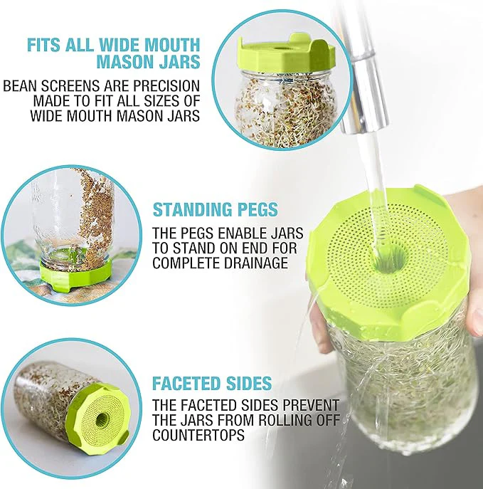 Mason Jar Sprouting Kit with Seeds - Image 5