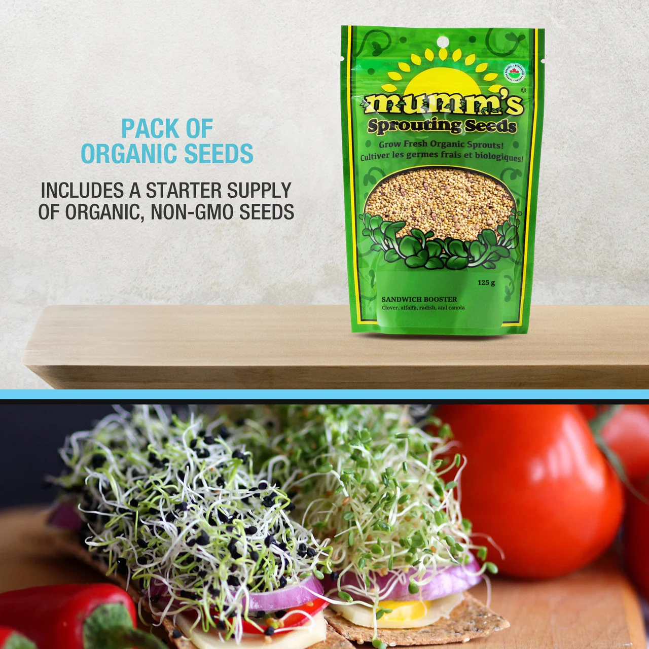 Mason Jar Sprouting Kit with Seeds - Image 7