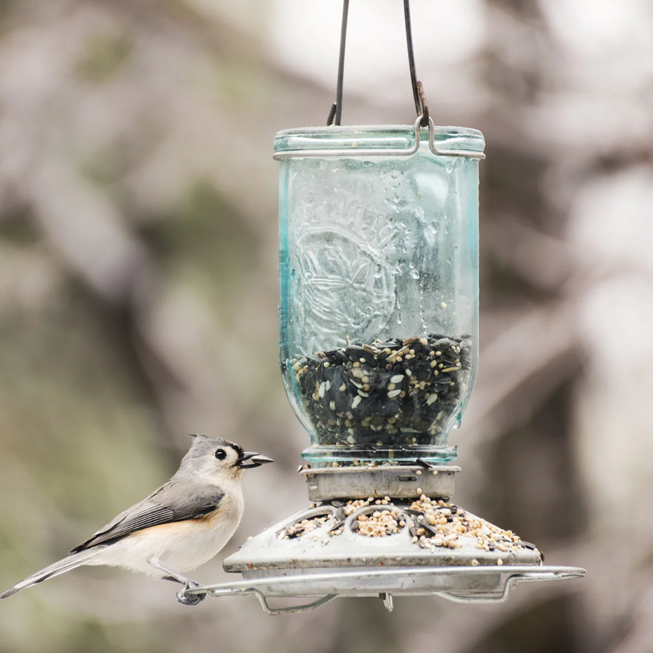 Mason Jar Wild Bird Feeder - Image 3