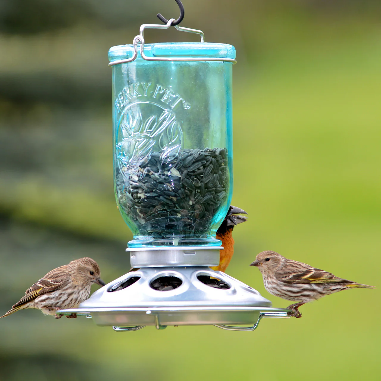 Mason Jar Wild Bird Feeder - Image 4