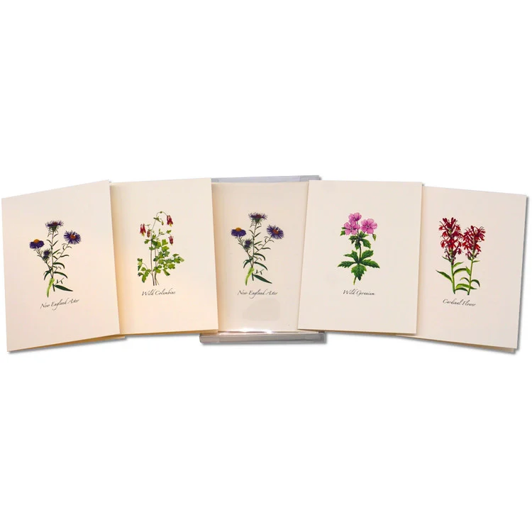 Meadow Wildflower Notecard Assortment - Image 6