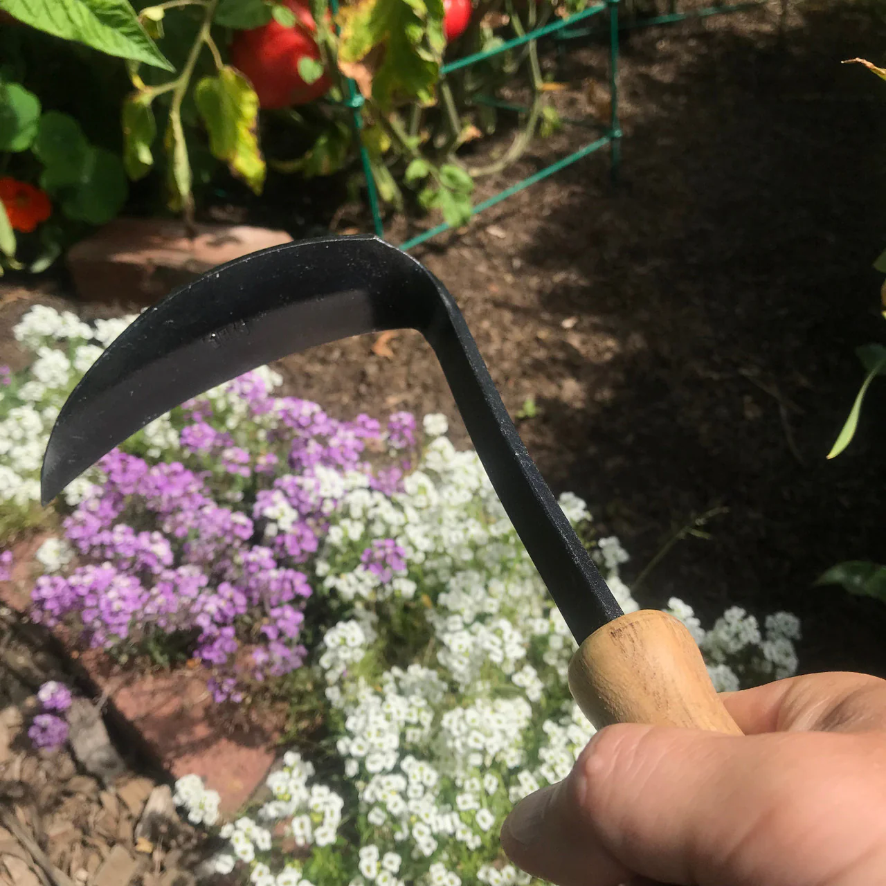 Mini Sickle Hoe - Image 2
