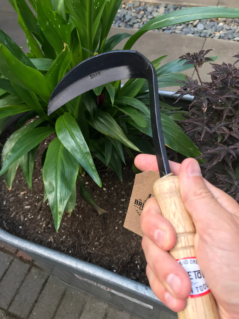 Mini Sickle Hoe - Image 3