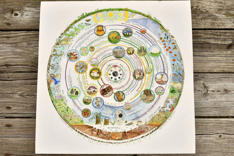 Giclée Art Print - Mushroom Foraging Calendar - Image 7