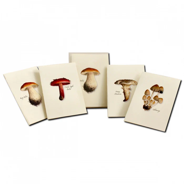 Mushroom Notecard Assortment - Image 6