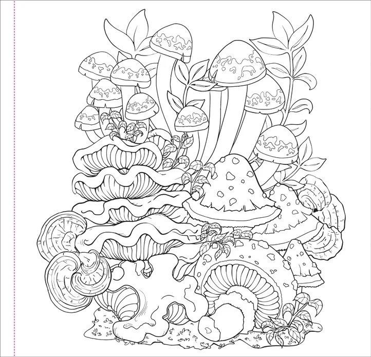 Mushrooms Coloring Book - Image 4