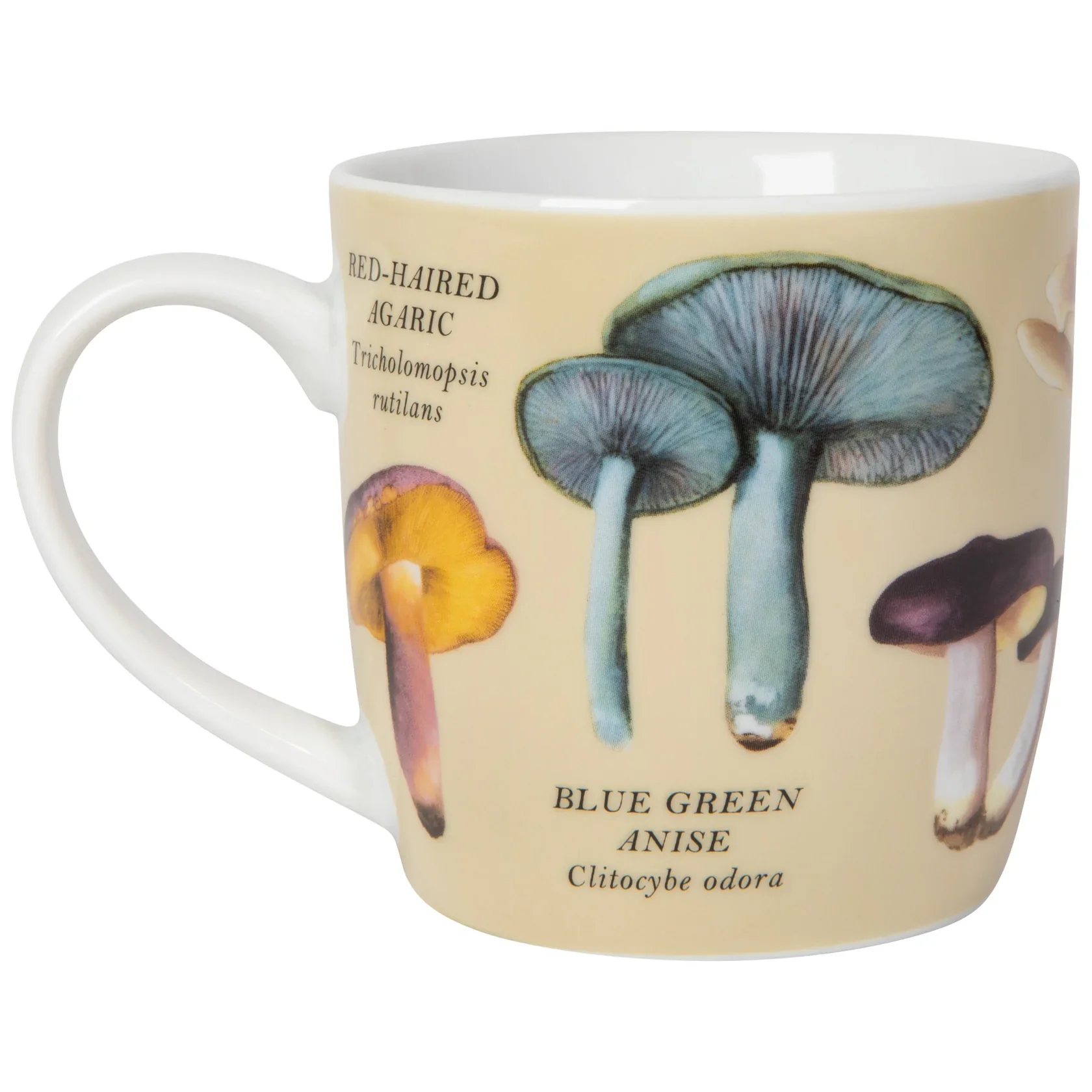 Mushrooms Mug - Image 2