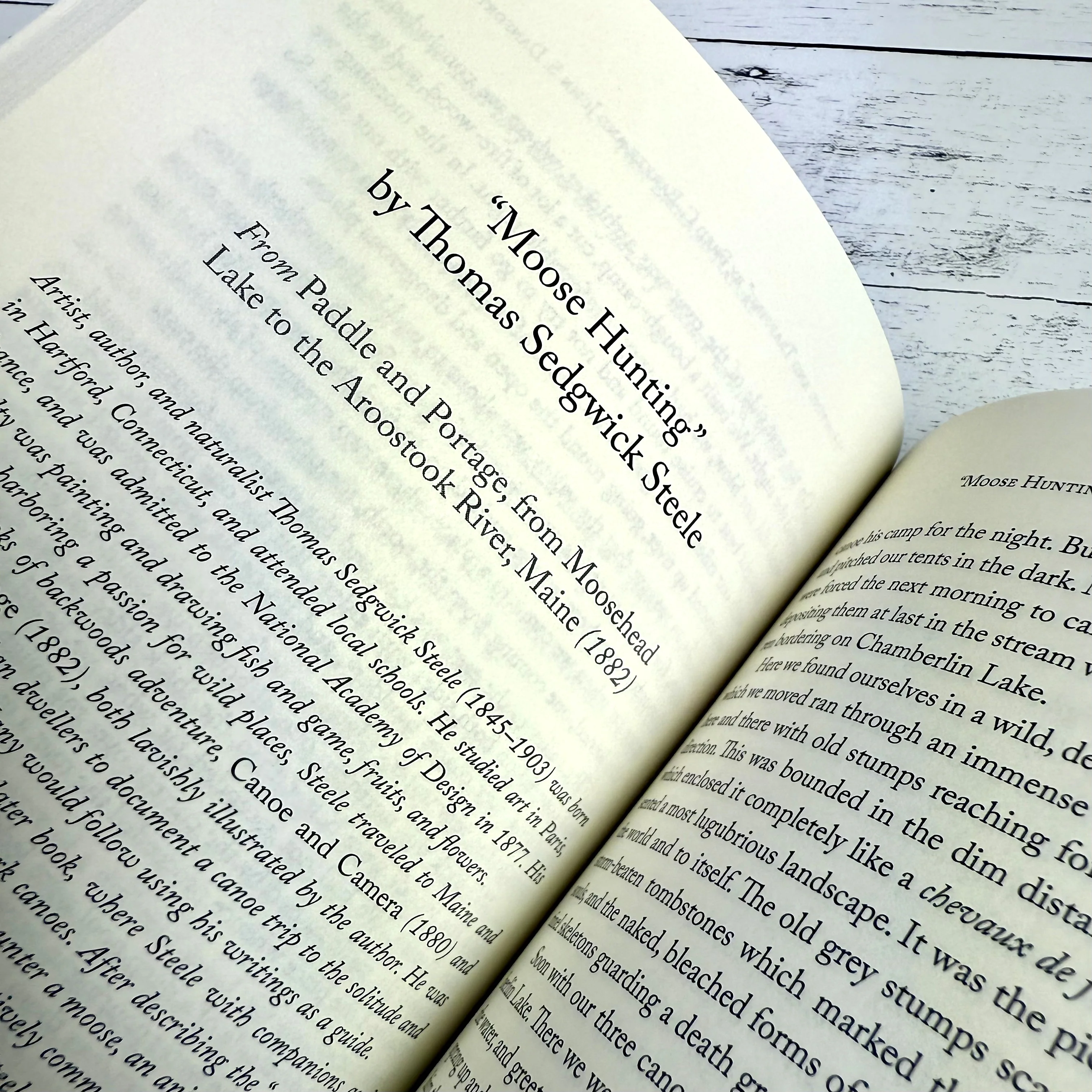 New England Nature: Centuries of Writing on the Wonder and Beauty of the Land - Image 4