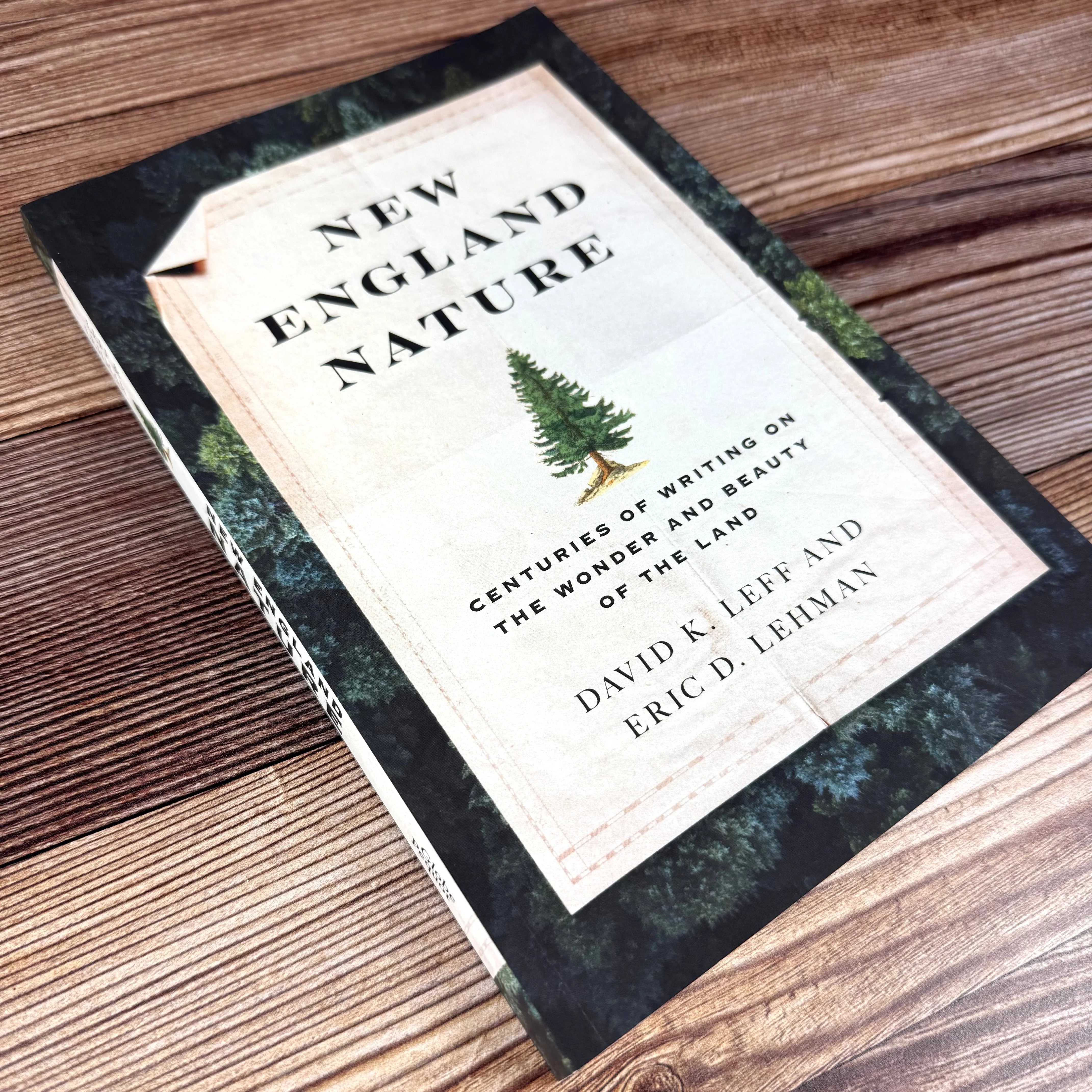 New England Nature: Centuries of Writing on the Wonder and Beauty of the Land - Image 5
