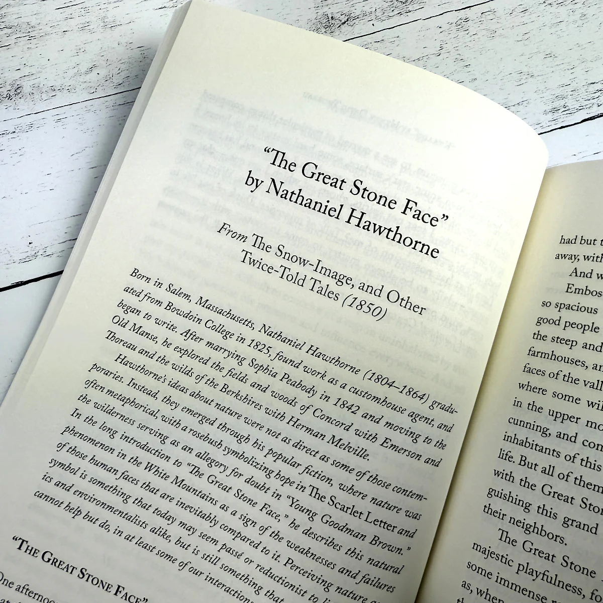 New England Nature: Centuries of Writing on the Wonder and Beauty of the Land - Image 6