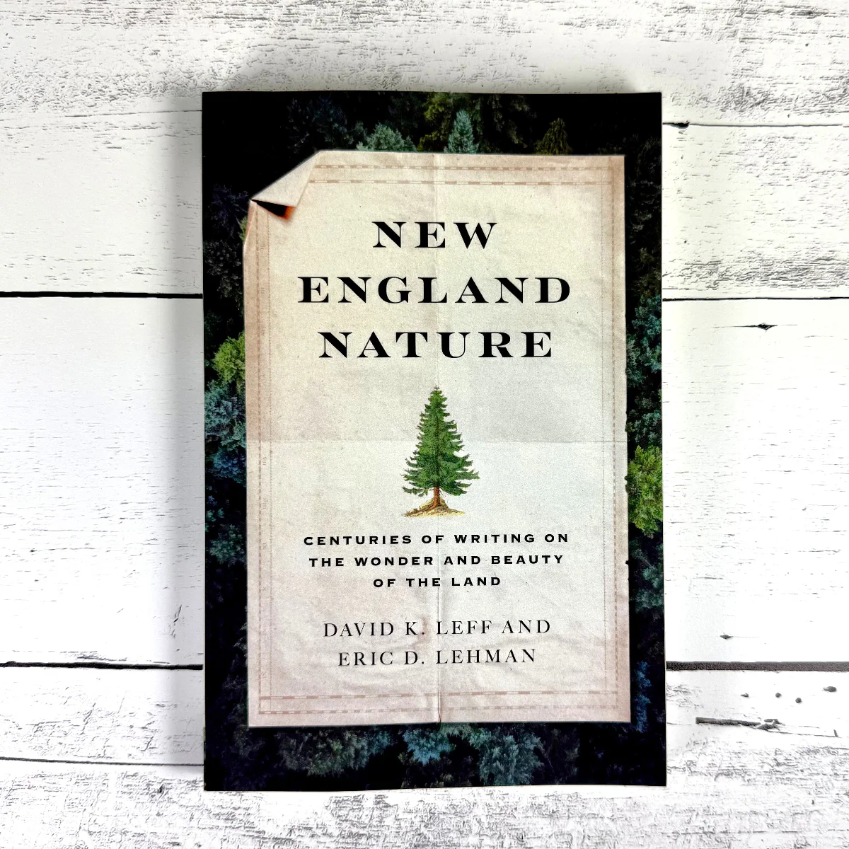 New England Nature: Centuries of Writing on the Wonder and Beauty of the Land - Image 7