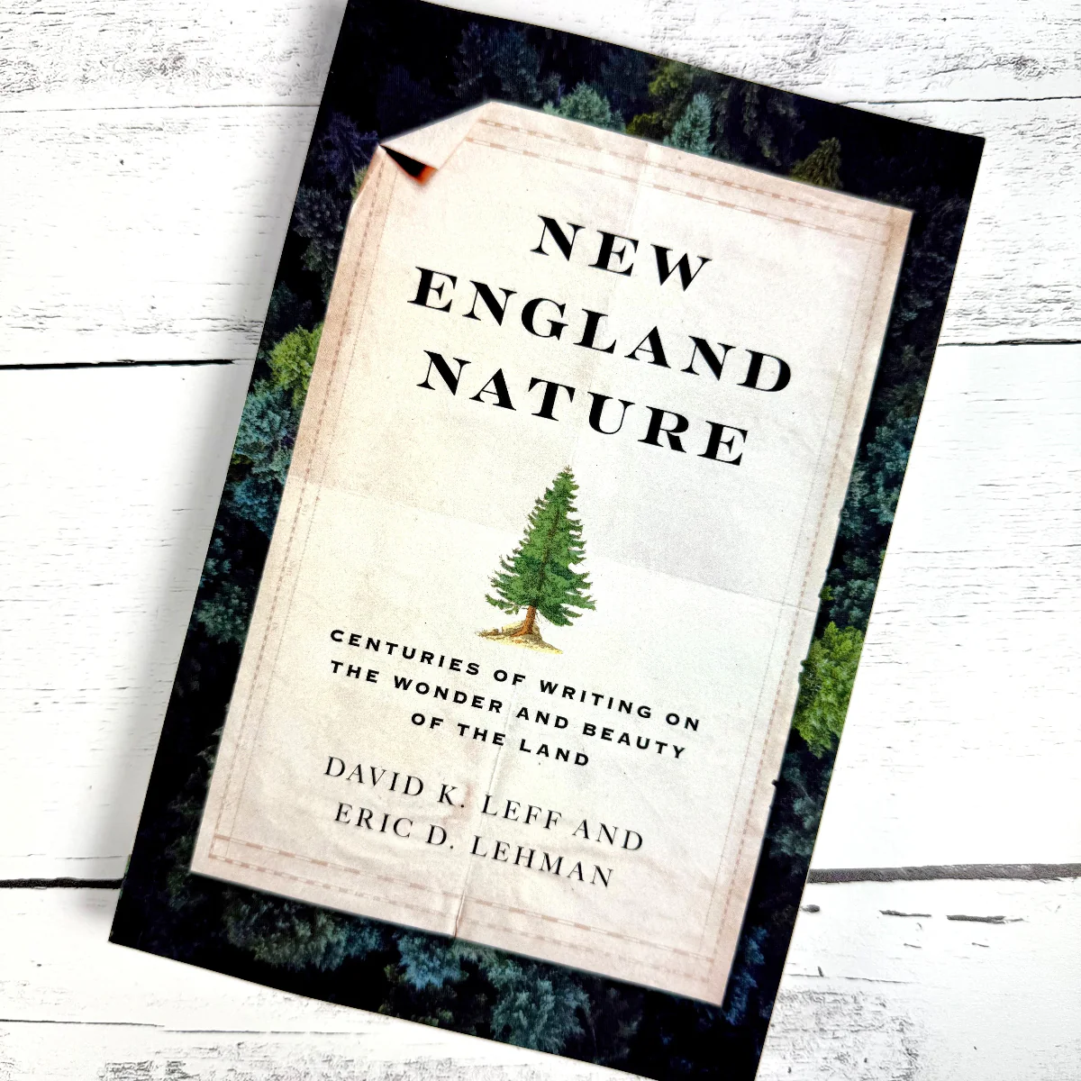 New England Nature: Centuries of Writing on the Wonder and Beauty of the Land - Image 8