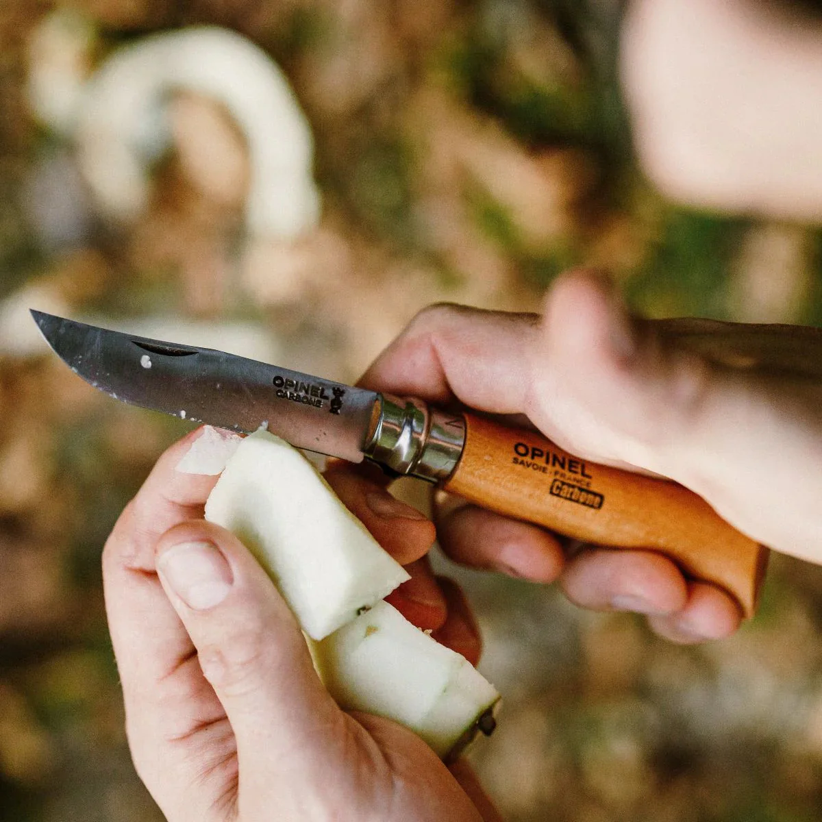 No. 08 Carbon Steel Folding Knife - Image 4