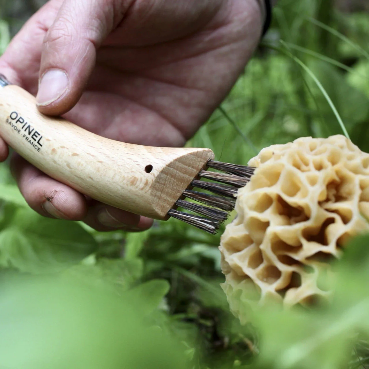 No. 08 Mushroom Knife - Image 4