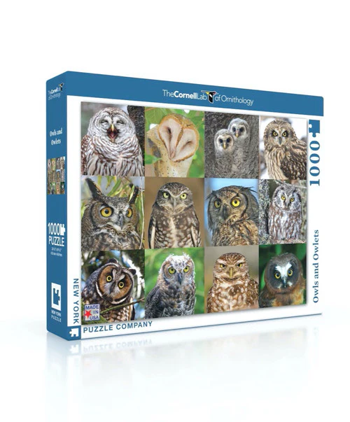 Owls and Owlets Jigsaw Puzzle 1000 Piece - Image 4