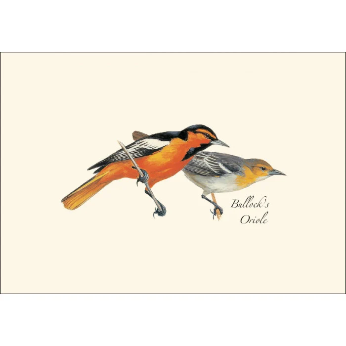 Peterson Western Bird Notecard Assortment - Image 5
