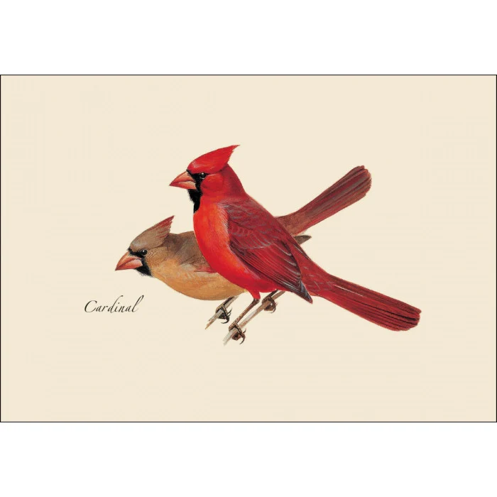 Peterson's Bird Notecard Assortment - Image 3
