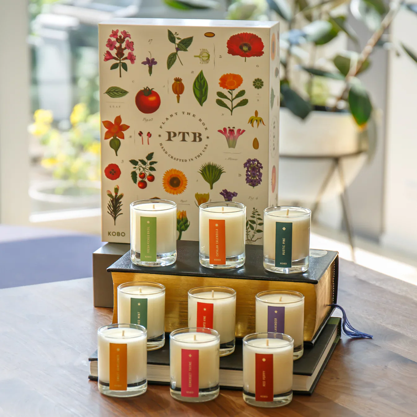 Plant the Box Votive Gift Set - Image 3