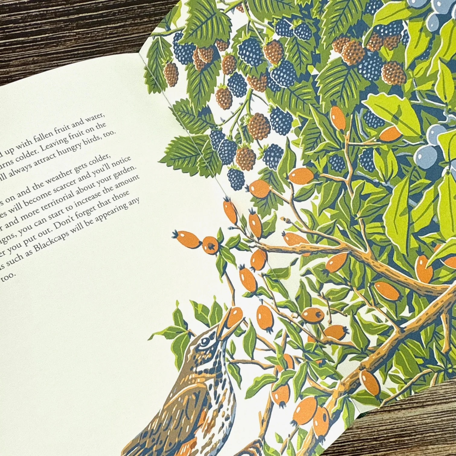 Planting for Garden Birds - Image 3
