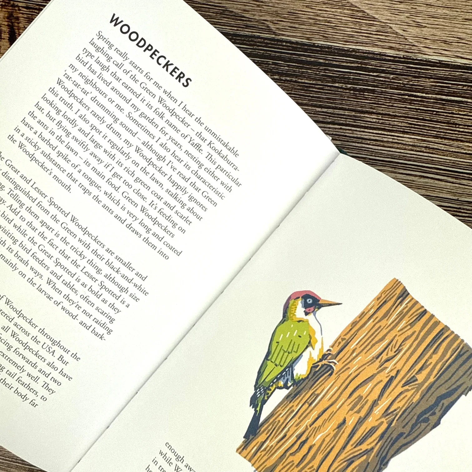 Planting for Garden Birds - Image 4