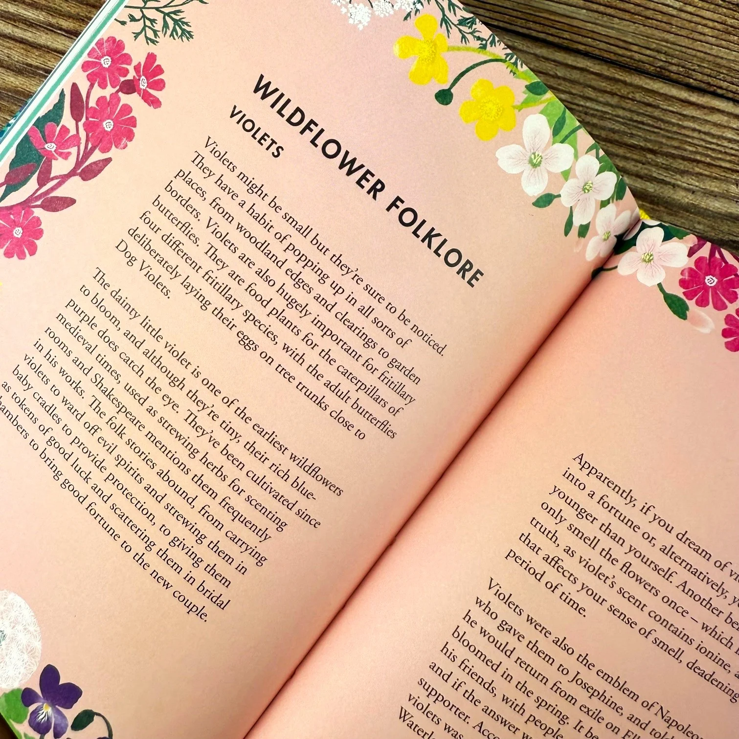 Planting Wildflowers - Image 2