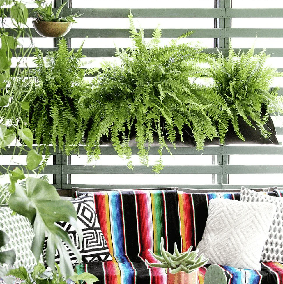 Pocket Wall Planter - Image 11