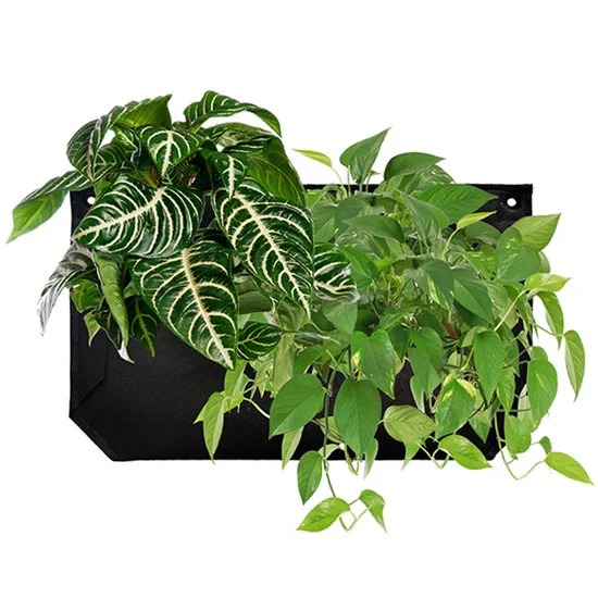 Pocket Wall Planter - Image 4