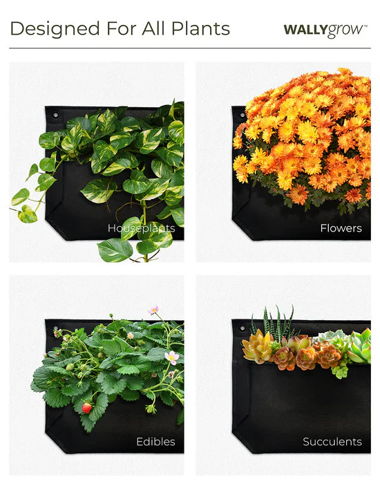 Pocket Wall Planter - Image 9