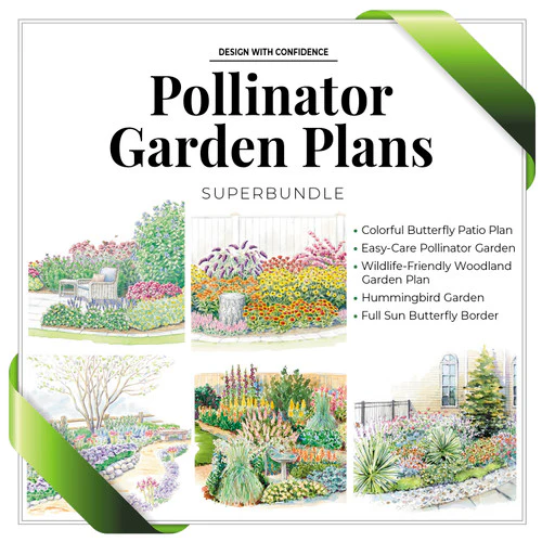 Pollinator Garden Plan SuperBundle - Image 7