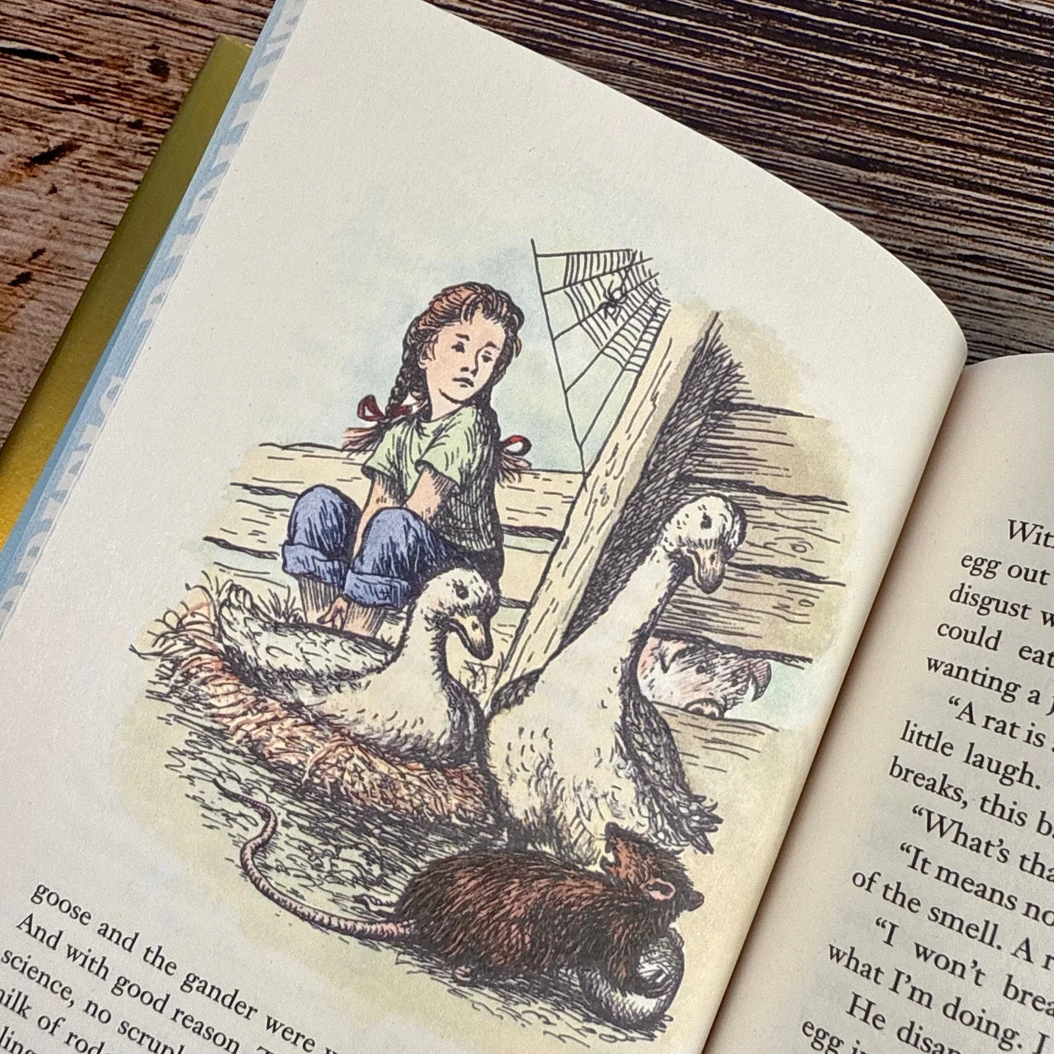 Charlotte's Web - Deluxe Edition - Image 4