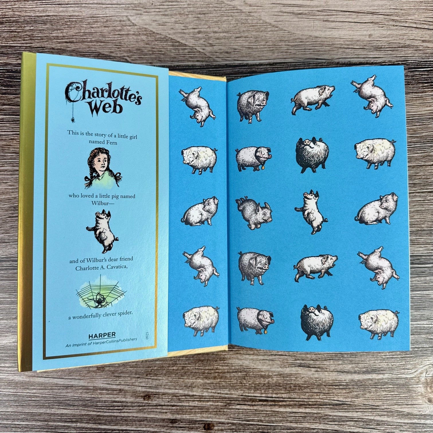 Charlotte's Web - Deluxe Edition - Image 9