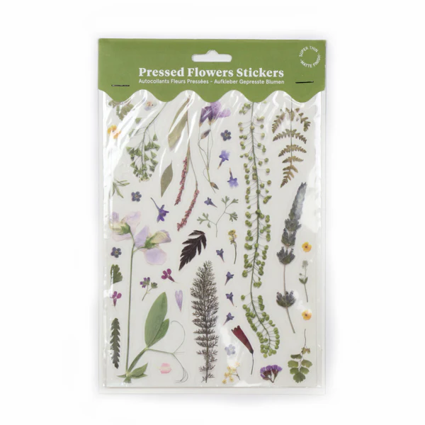 Pressed Flowers Sticker Sheet - Ferns - Image 4