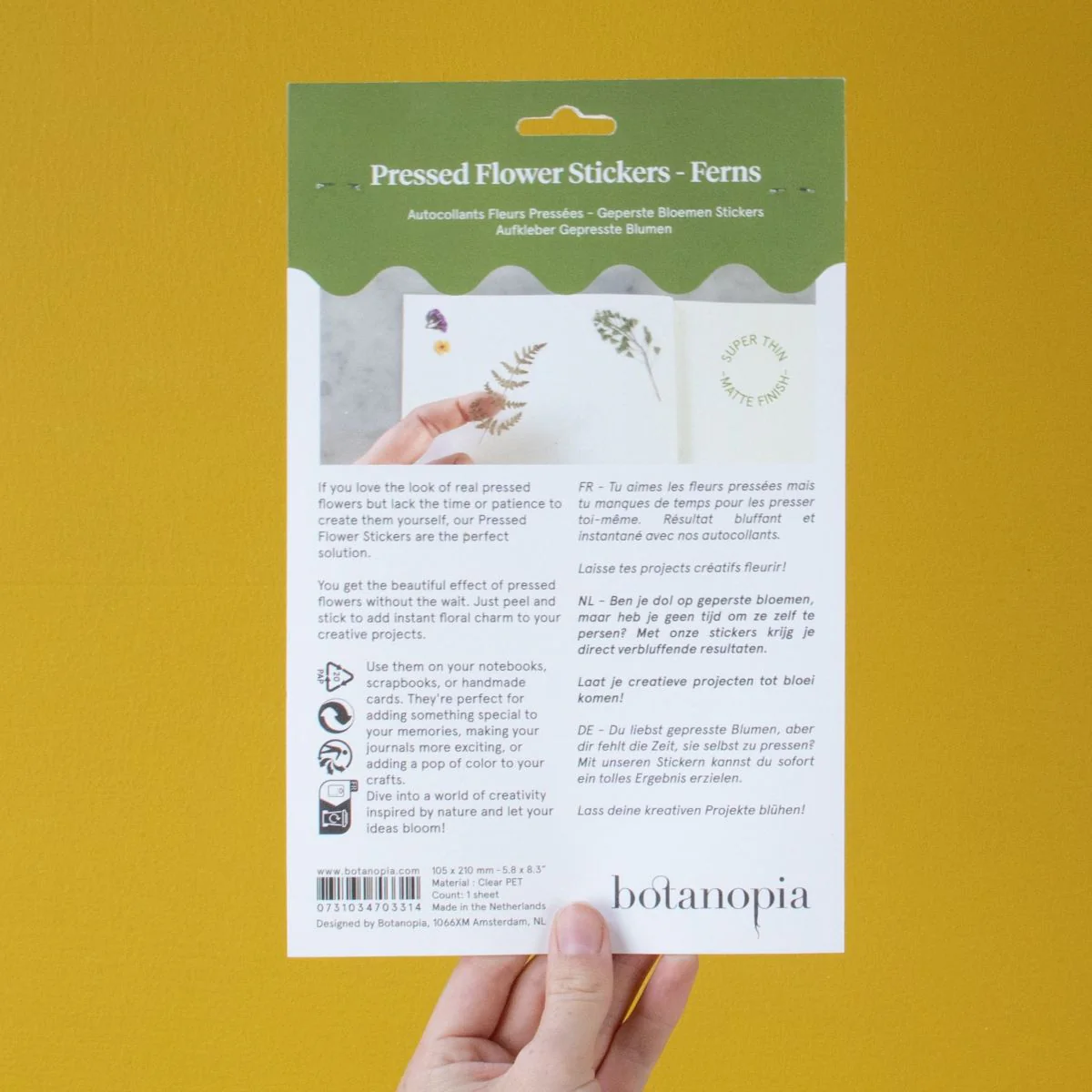 Pressed Flowers Sticker Sheet - Ferns - Image 5