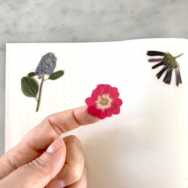 Pressed Flowers Sticker Sheet - Rainbow Gradient - Image 3