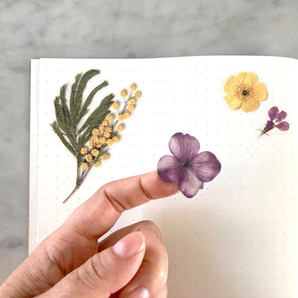 Pressed Flowers Sticker Sheet - Yellows and Purples - Image 5